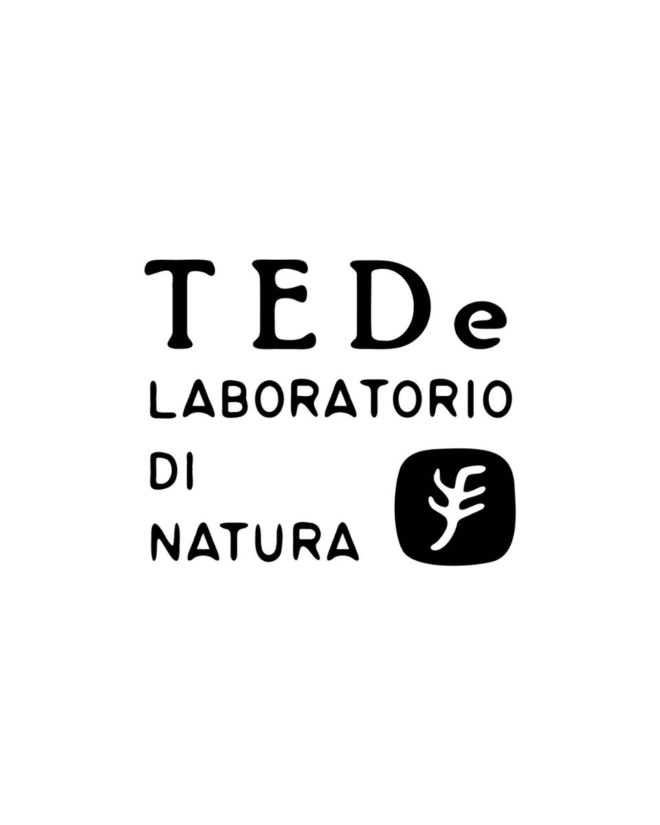 TEDe 写真2